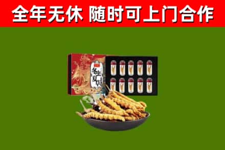 右玉烟酒回收冬虫夏草礼盒.jpg