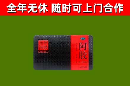 右玉回收阿胶