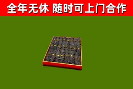 右玉回收海参